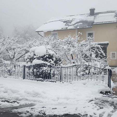 Drago Kremenjas Apartment Delnice Bagian luar foto