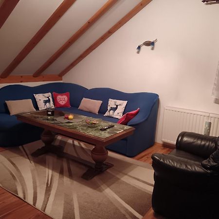 Drago Kremenjas Apartment Delnice Bagian luar foto
