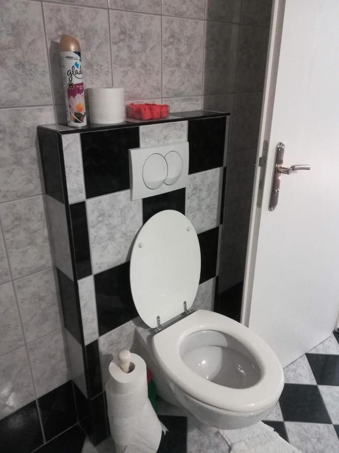 Drago Kremenjas Apartment Delnice Bagian luar foto