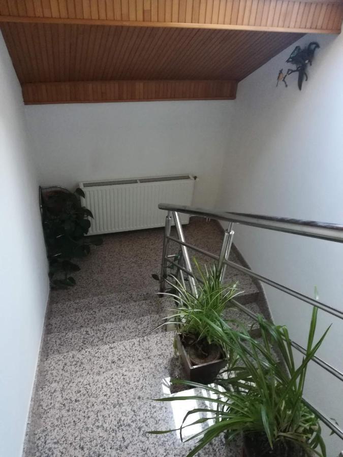Drago Kremenjas Apartment Delnice Bagian luar foto
