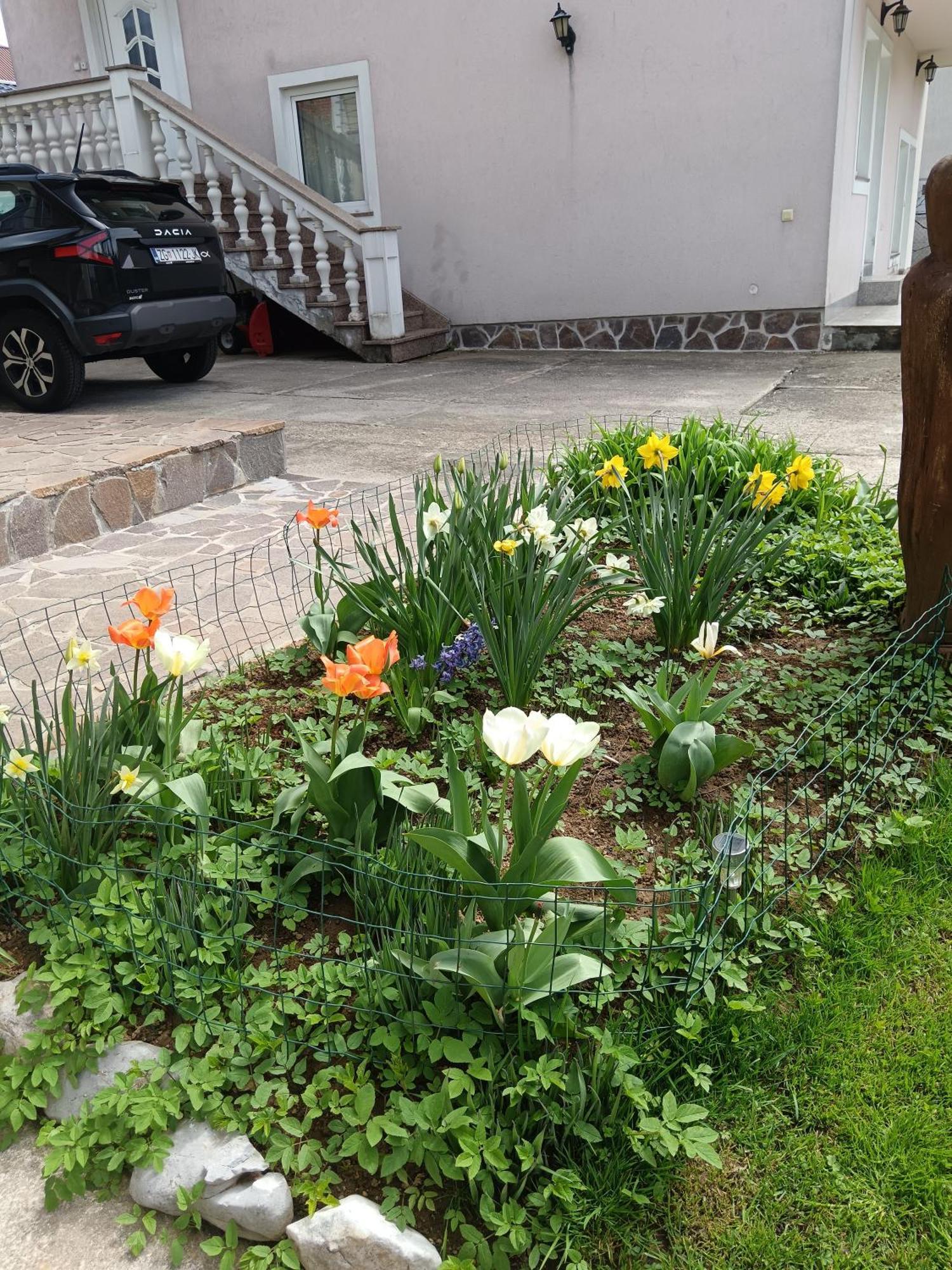 Drago Kremenjas Apartment Delnice Bagian luar foto