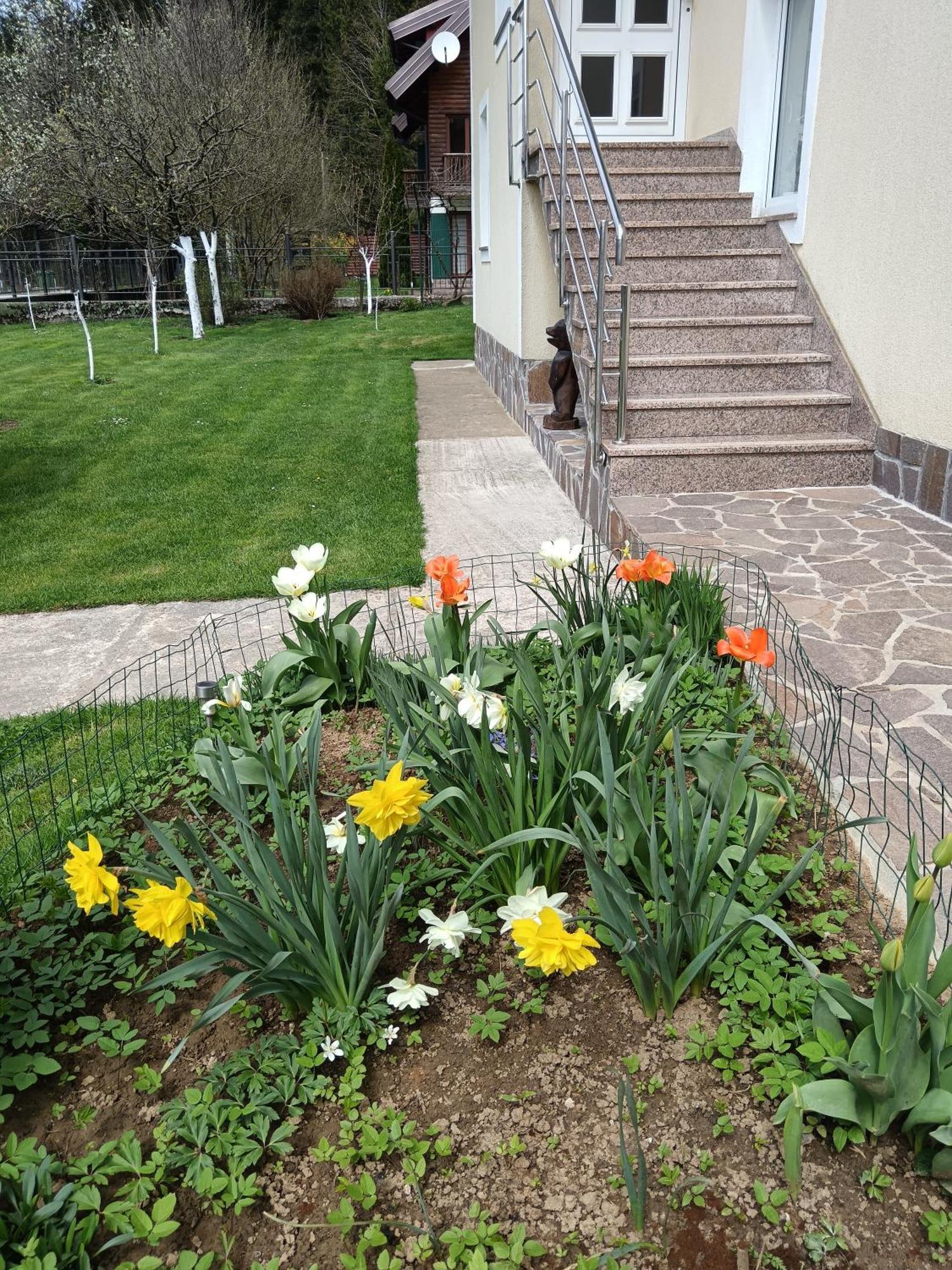 Drago Kremenjas Apartment Delnice Bagian luar foto